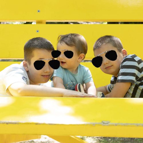 San Felice del Benaco n° 101